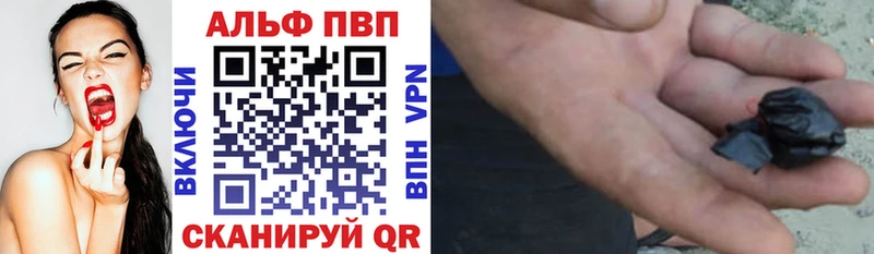 OMG ONION  Тбилисская  Alfa_PVP СК КРИС 