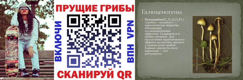 Псилоцибиновые грибы GOLDEN TEACHER  как найти   Тбилисская 